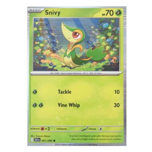 Pokémon promo karta Snivy z Poster Collection Black and White