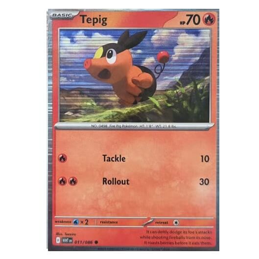 Pokémon promo karta Tepig z Poster Collection Black and White