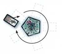 Desková karetní hra Tarantule Tango - karty 2