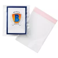 Beckett Resealable Team Bags - opakovatelně uzavíratelné sáčky na karty