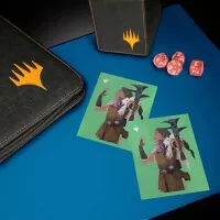 Obaly na karty Modern Horizons 3 - Disa the Restless