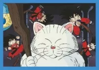 DragonBall Universal Collection - Display samolepek - kocka