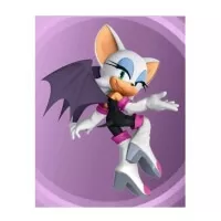 Ukázka samolepky Sonic