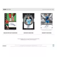 2024-2025 Panini Noir Soccer Hobby Box