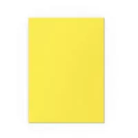Obaly na karty Dragon Shield Matte Dual Sleeves - Yellow and Silver - 100 ks