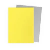 Obaly na karty Dragon Shield Matte Dual Sleeves - Yellow and Silver - 100 ks